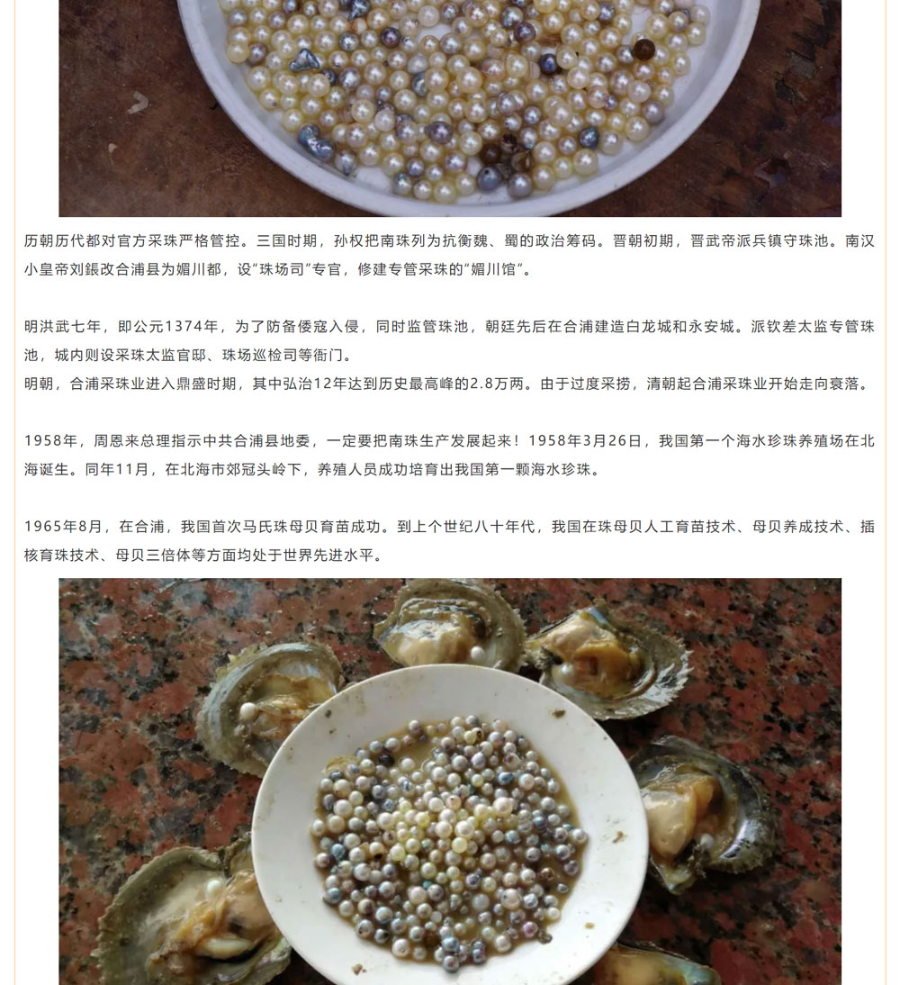 古老南珠，綻放異彩