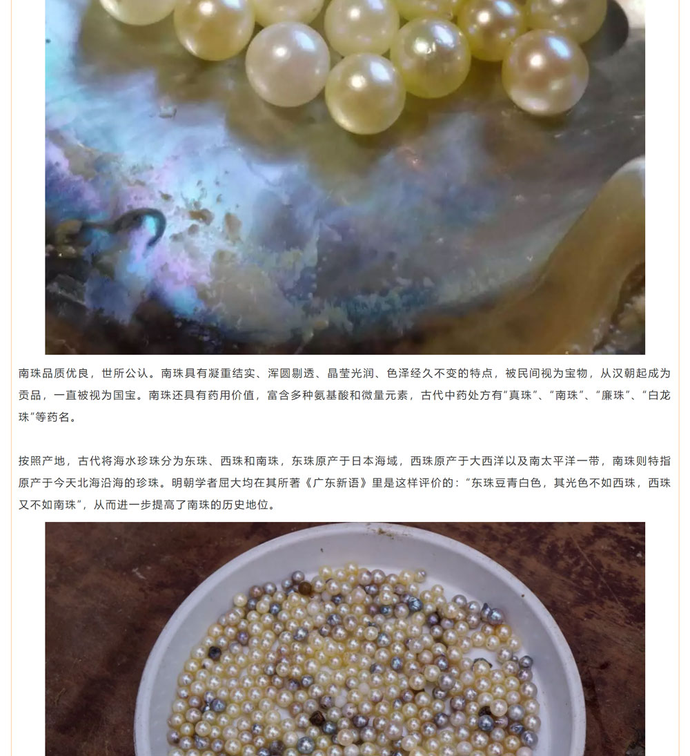 古老南珠，綻放異彩