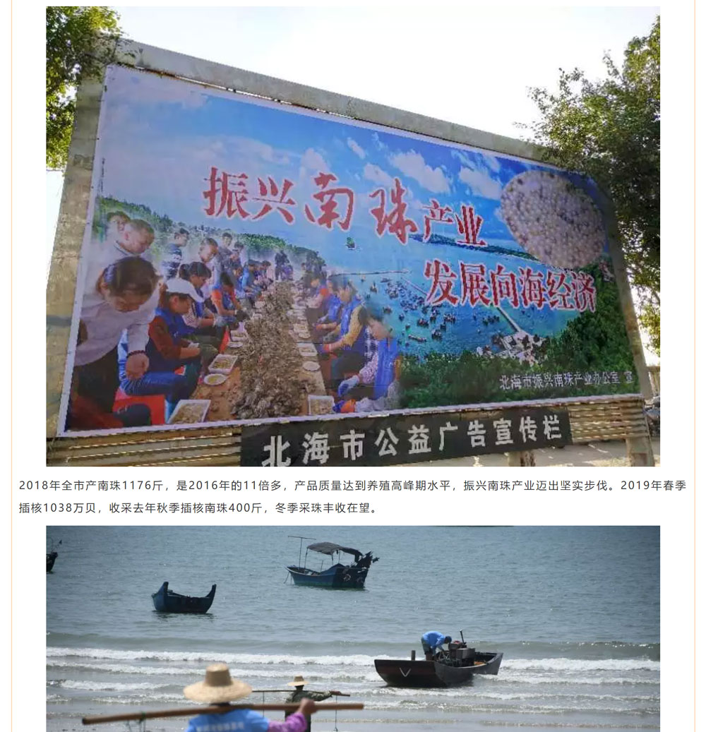 古老南珠，綻放異彩